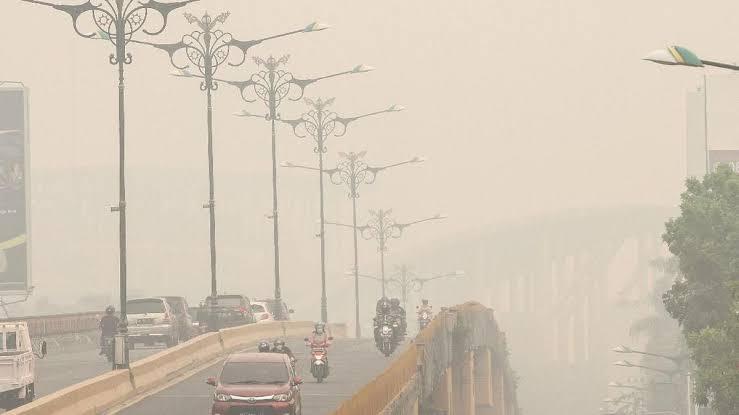 PM2.5 Pekanbaru Tembus 117,4 µg/m³, Kualitas Udara Masuk Kategori Tidak Sehat